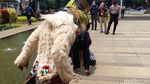 Hanoman Geruduk Kantor Wali Kota Bandung, Ngapain?