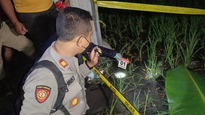 jebakan tikus listrik