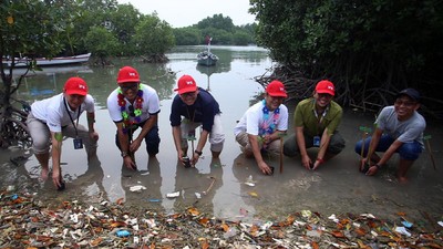 JMI-IFG Tanam Mangrove di Pulau Tunda