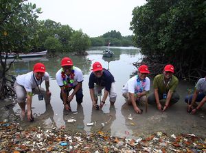 JMI-IFG Tanam Mangrove di Pulau Tunda