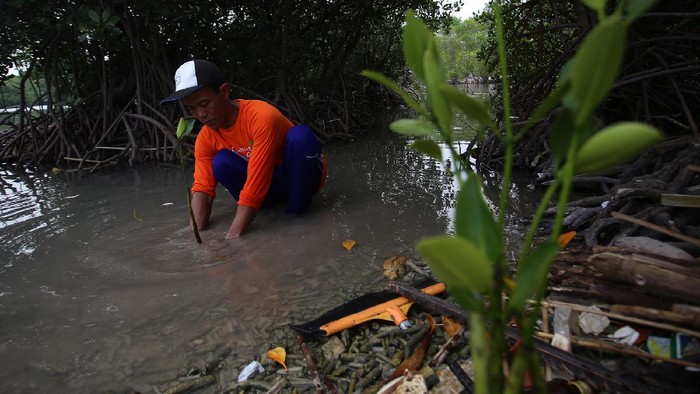 JMI-IFG Tanam Mangrove di Pulau Tunda Branch Manager Asuransi Jasindo Cab Serang, Bayu Warhaspati, Kepala Urusan TJSL Jasa Raharja, Hermanus Haurisa, Kabag Bisnis Jamkrindo Cab Serang, Wildan Firdaus, Sekretaris Perusahaan Indonesia Financial Group, Beko Setiawan, Kabag Humas Askrindo, M. Anton Musthofa, Milenial Askrindo Cab Serang, TB Nandarussalam, menanam pohon mangrove disela pemberian donasi pendidikan untuk anak nelayan di Pulau Tunda, Banten, Sabtu (2/10/2021).
