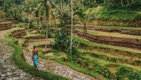 Setahun setengah sebelum perjalanannya, Lexie belajar cara mengedit video dan belajar soal sosial media dan menulis di blog. Dari sana, ia bertemu dengan banyak orang dan membangun relasi.  