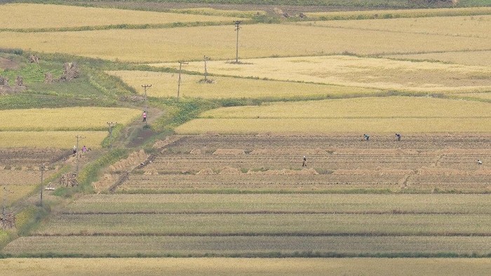 A visitor uses a smartphone to film the North Korea's Kaepoong from the observatory of the Aegibong Peace Ecopark in Gimpo, South Korea, Tuesday, Oct. 5, 2021. (AP Photo/Lee Jin-man)