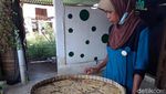 Mie Mocaf, Mie Nongluten Berbahan Singkong Ini Diciptakan di Boyolali