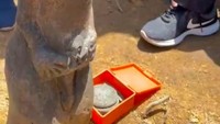 Patung itu disebut berbobot 50 Kg. (Foto: dok. Istimewa)