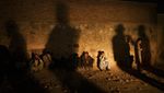 Kala Pejuang Taliban Berperan Jadi Polisi Afghanistan