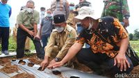 Tingginya Permintaan Pasar, Petani Banyuwangi Mulai Tanam Porang