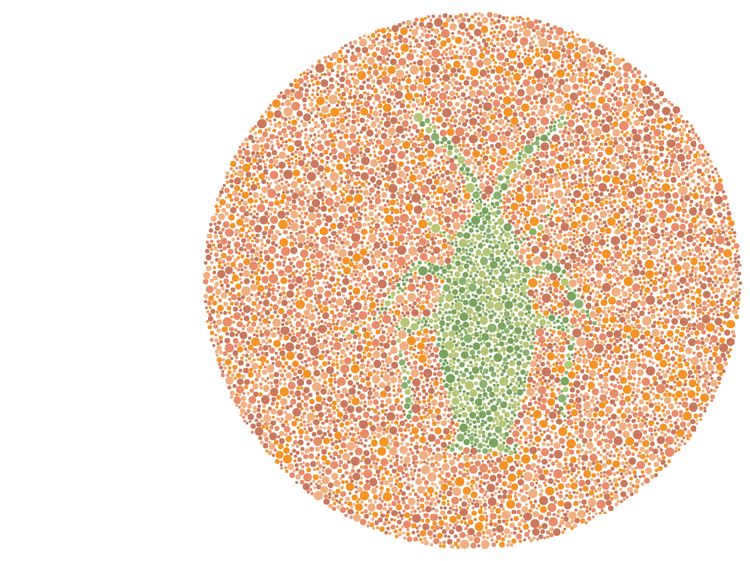 Bisa Lihat Serangga di Gambar Ini? Tandanya Kamu Tidak Buta Warna