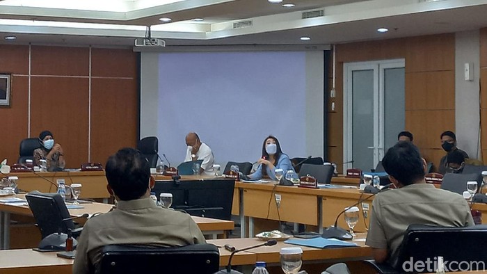 Viani Limardi (Kadek Melda Luxiana/detikcom).