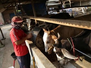 Holding Ultra Mikro Beri Harapan UMKM Lampung untuk Terus Berkembang