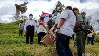 Balai Konservasi Sumber Daya Alam (BKSDA) Yogyakarta melepasliarkan dua ekor elang di kawasan perbukitan Menoreh, Puthok Gondang, Kalurahan Jatimulyo, Kapanewon Girimulyo, Kulon Progo, Rabu (6/10/2021).