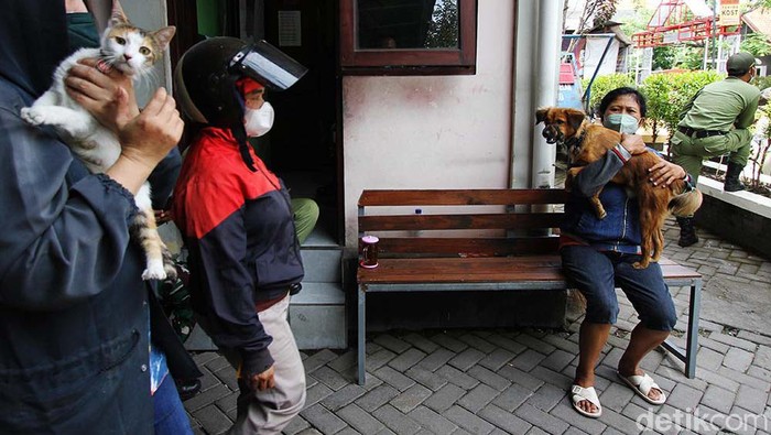 Anjing dan Kucing di Solo Divaksin untuk Cegah Rabies Sejumlah hewan peliharaan di Kota Solo mendapat suntikan vaksin rabisin. Pemberiakn vaksin ini dalam rangka memperingati Hari Rabies Sedunia.