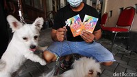 Anjing dan kucing menjadi target penerima vaksin.