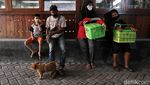 Keriuhan Anjing dan Kucing Saat Disuntik Vaksin Rabies