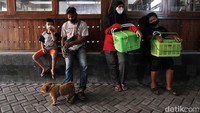 Warga membawa hewan peliharaannya untuk divaksin.