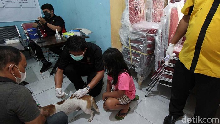 Sejumlah hewan peliharaan di Kota Solo mendapat suntikan vaksin rabisin. Pemberiakn vaksin ini dalam rangka memperingati Hari Rabies Sedunia.
