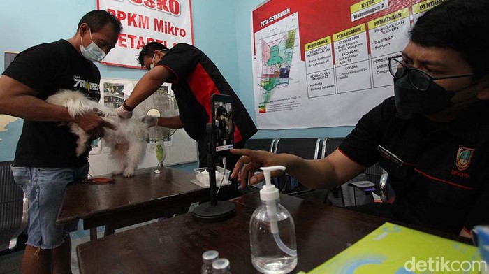 Anjing dan Kucing di Solo Divaksin untuk Cegah Rabies Sejumlah hewan peliharaan di Kota Solo mendapat suntikan vaksin rabisin. Pemberiakn vaksin ini dalam rangka memperingati Hari Rabies Sedunia.
