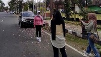 Bunga tabebuya yang bermekaran terlihat indah nan cantik. Warna tabebuya yang ada meliputi pink dan putih.