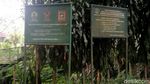 Jelajah Perbatasan Sumedang-Garut-Bandung di Gunung Masigit Kareumbi