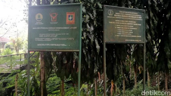 Jelajah Perbatasan Sumedang-Garut-Bandung di Gunung Masigit Kareumbi Kawasan Hutan Gunung Masigit Kareumbi menjadi perbatasan wilayah Kabupaten Sumedang, Kabupaten Bandung dan Kabupaten Garut. Ingin tahu titik perbatasannya?