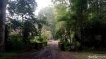 Jelajah Perbatasan Sumedang-Garut-Bandung di Gunung Masigit Kareumbi