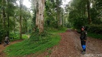 Persimpangan Jalan untuk sebelah kanan akses menuju Garut, sebelah kiri akses menuju Sumedang. 