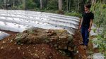 Jelajah Perbatasan Sumedang-Garut-Bandung di Gunung Masigit Kareumbi