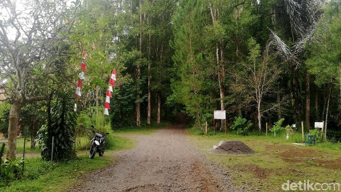 Kawasan Hutan Gunung Masigit Kareumbi menjadi perbatasan wilayah Kabupaten Sumedang, Kabupaten Bandung dan Kabupaten Garut. Ingin tahu titik perbatasannya?