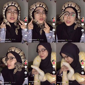 Kisah viral wanita yang memelihara ular dan biawak.
