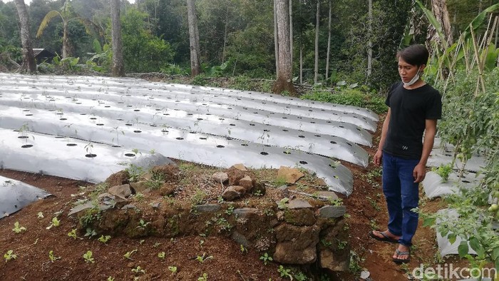 Melihat kuburan dan puing bangunan peninggalaan Belanda di Sumedang