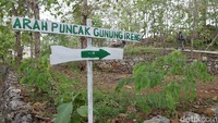 Sekretaris Dinas Pariwisata (Dispar) Kabupaten Gunungkidul Harry Sukmono mengatakan, pengajuan uji coba terbatas sudah dilakukan. Pengajuan dilakukan melalui Dispar DIJ baru kemudian ke Kementerian Pariwisata dan Ekonomi Kreatif (Kemenparekraf). Kini tinggal menanti jawaban dari pusat.