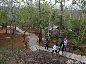 Makin Kreatif, Gunungkidul Kembangkan Wisata Edukasi Madu, Jati dan Bambu
