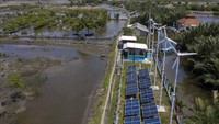 Warga Dusun Bondan dapat menikmati listrik setelah PT Kilang Pertamina International Unit Cilacap membangun PLTH, yang menggabungkan panel surya dan kincir angin kapasitas 16.200 Watt Peak (WP) yang dimanfaatkan untuk menerangi rumah warga, tempat ibadah, bangunan sekolah, penyulingan air payau menjadi air tawar dan pendingin untuk penyimpanan hasil tangkapan laut warga. (Hafidz Mubarak A/AntaraFoto)