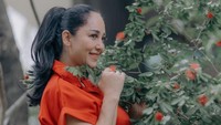 Meriam Bellina pernah jadi salah satu aktris termuda kedua dalam sejarah perfilman Indonesia yang dapat meraih Piala Citra tahun 1984 pada kategori Pemeran Utama Wanita Terbaik.  Foto: dok Instagram bellinamer