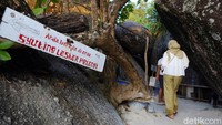 Tempat wisata yang satu ini menjadi primadona di Belitung. Pantai Tanung Tinggi menjadi salah satu lokasi syuting film Laskar Pelangi yang tayang pada 2008 silam.