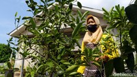 Bukan tanpa alasan dirinya memulai bisnis ini, ia melihat peluang dari jeruk kunci yang menjadi komoditas dan sering ditemukan di daerah Bangka Belitung.Bentuknya memang sama seperti jeruk nipis, bulat kecil dan berwarna hijau, tetapi rasa dari jeruk kunci ini bisa dibilang lebih asam dari jeruk nipis pada umumnya. Inilah yang membuat minuman dari olahan jeruk kunci menjadi segar.