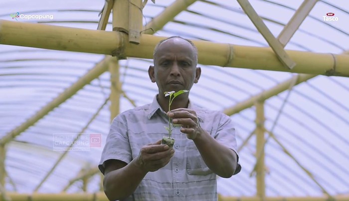 Petani Cabe Magelang Pantang Menyerah! Pria yang Gagal Jadi Tentara Ini Sekarang Sukses Jadi Petani Cabai