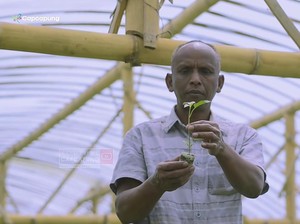 Pantang Menyerah! Gagal Jadi Tentara Pria Ini Sukses Jadi Petani Cabe