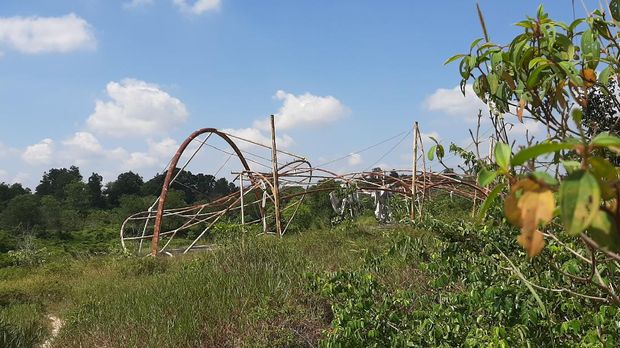 Stadion Peninggalan PON XVIII Riau Terbengkalai. (Raja Adil/detikcom)