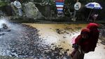 Sungai Jernih di Klaten Ini Dimanfaatkan untuk Budidaya Ikan