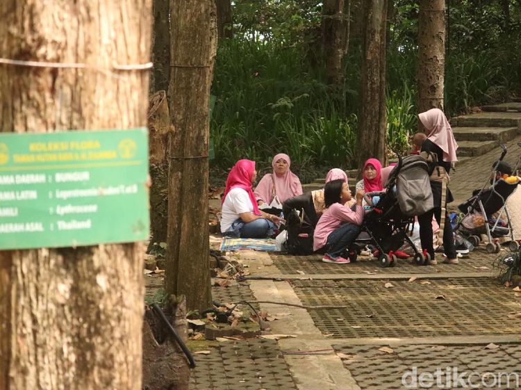 Foto: Warga Bandung Ramai Botram di Tahura
