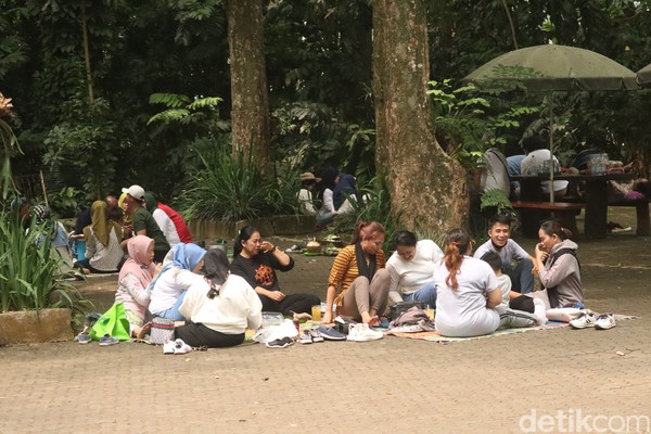 Sejumlah warga menggelar tikar di bawah pohon-pohon besar yang ada di Tahura. (Wisma Putera/detikcom) Sejumlah warga menggelar tikar di bawah pohon-pohon besar yang ada di Tahura. (Wisma Putera/detikcom)