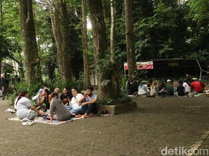 Suasana Botram di Tahura Bandung, Adem dan Nyaman