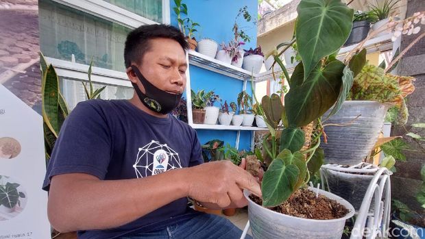 Briket Media Tanam di Lembang