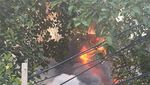 Penampakan Kobaran Api di Gardu PLN Kebon Jeruk yang Terbakar