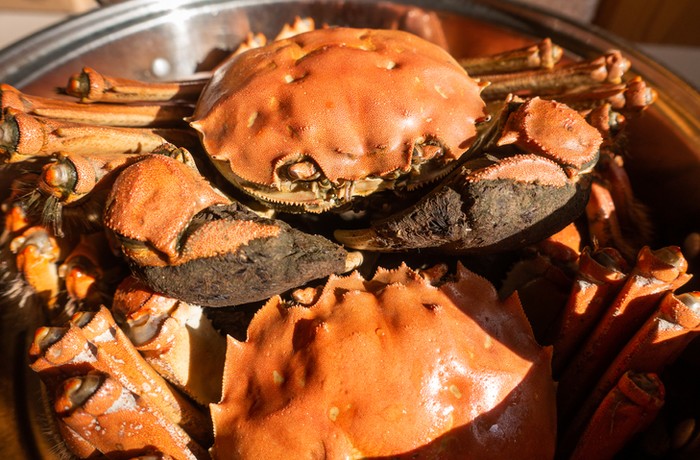 Hukum Makan Kepiting Doyan Kepiting? Ini Hukum Makan Kepiting Menurut Mazhab Ulama