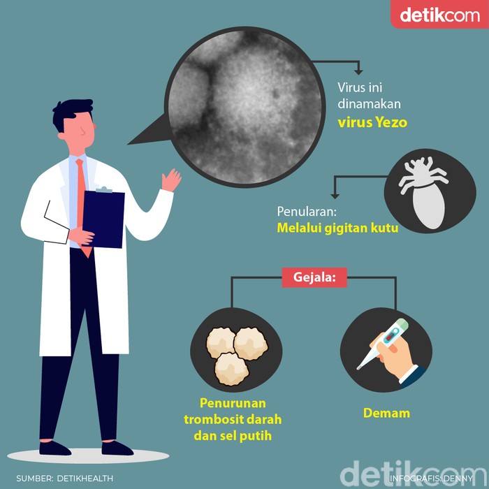 infografis virus Yezo