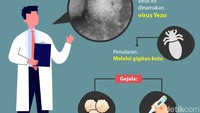 Dinamakan virus Yezo, virus ini menular lewat gigitan kutu.