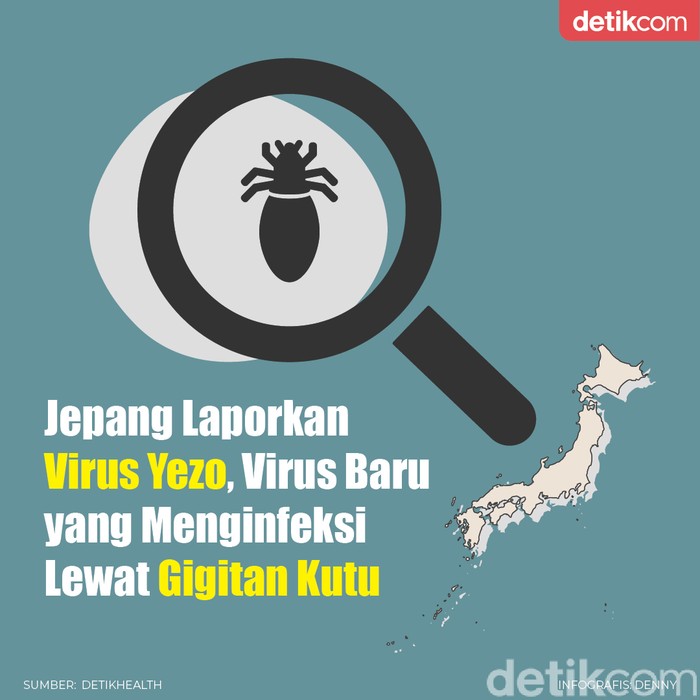 infografis virus Yezo