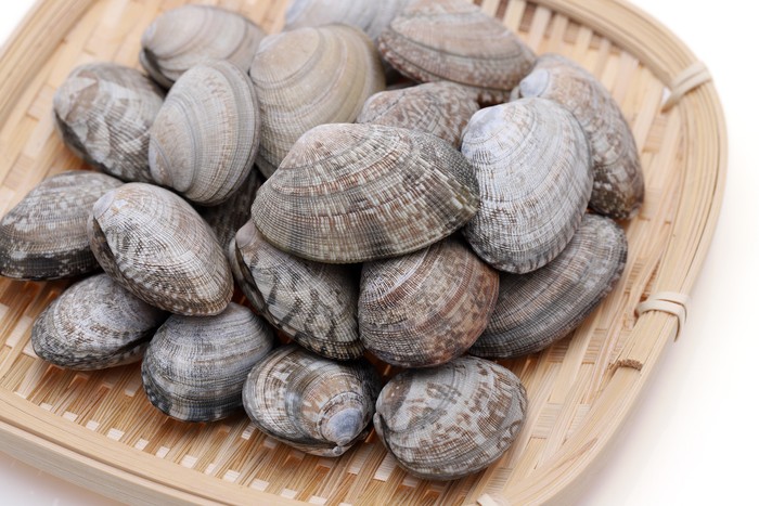 Kerang Ijo hingga Kerang Batik Jadi Menu Favorit di Seafood Gerobakan